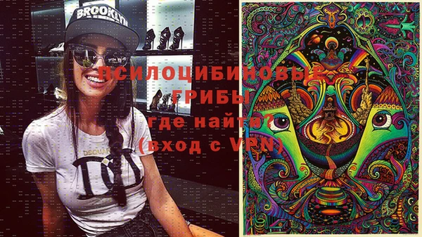 бошки Абдулино